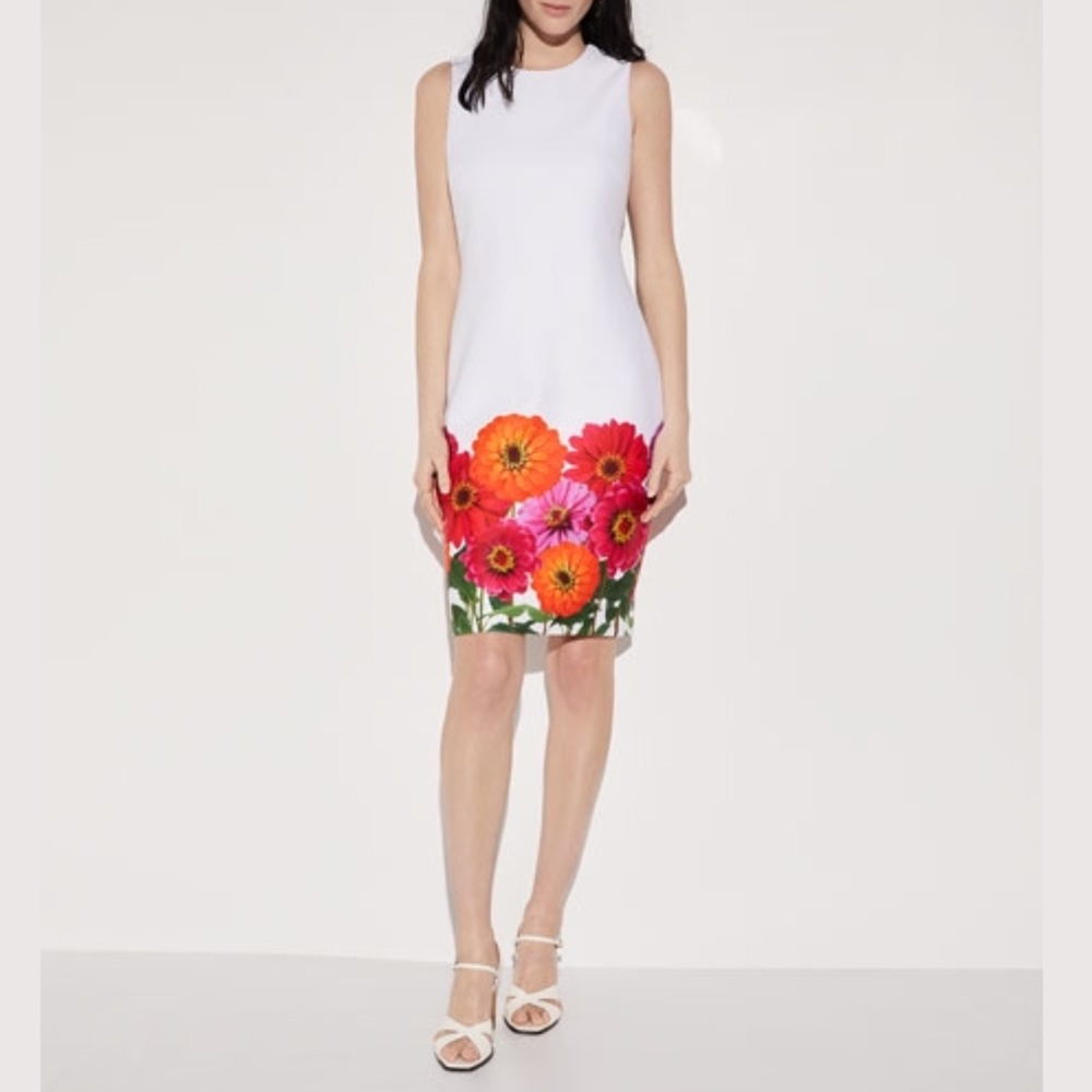 Calvin Klein | Floral Border Sheath Dress